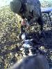 Two limits while duck hunting