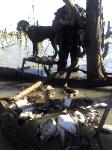 North Texas Retriever Trainers|North Texas Duck Hunting