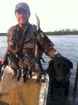 teal season limit of bluewing teal